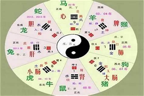 东五行|东字五行属性详解